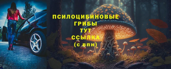 марки lsd Бугульма