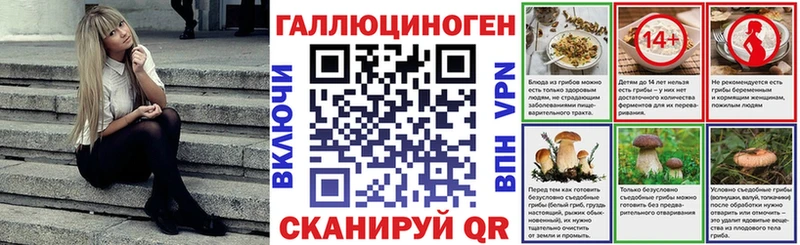 Псилоцибиновые грибы Psilocybine cubensis  Мензелинск 